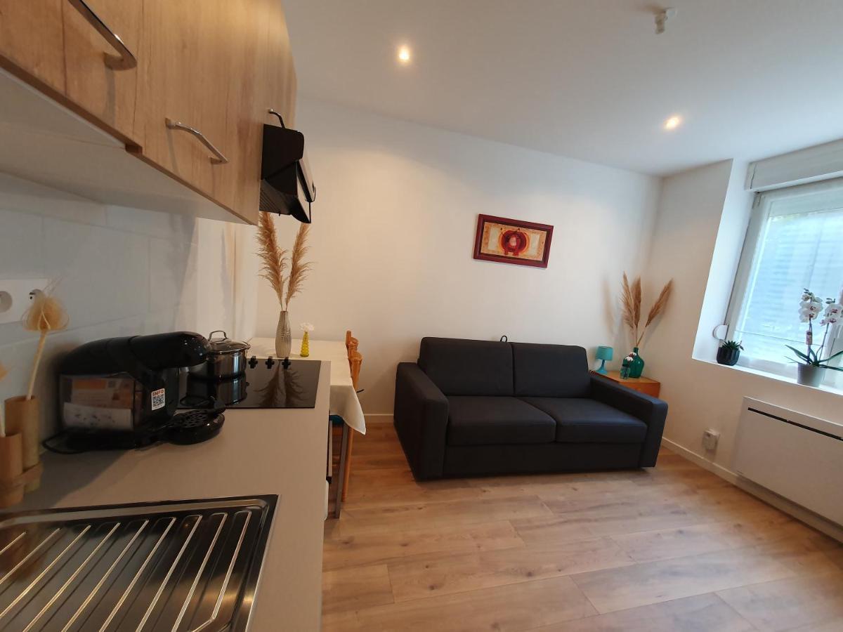 Appartement Savane Нанси Экстерьер фото