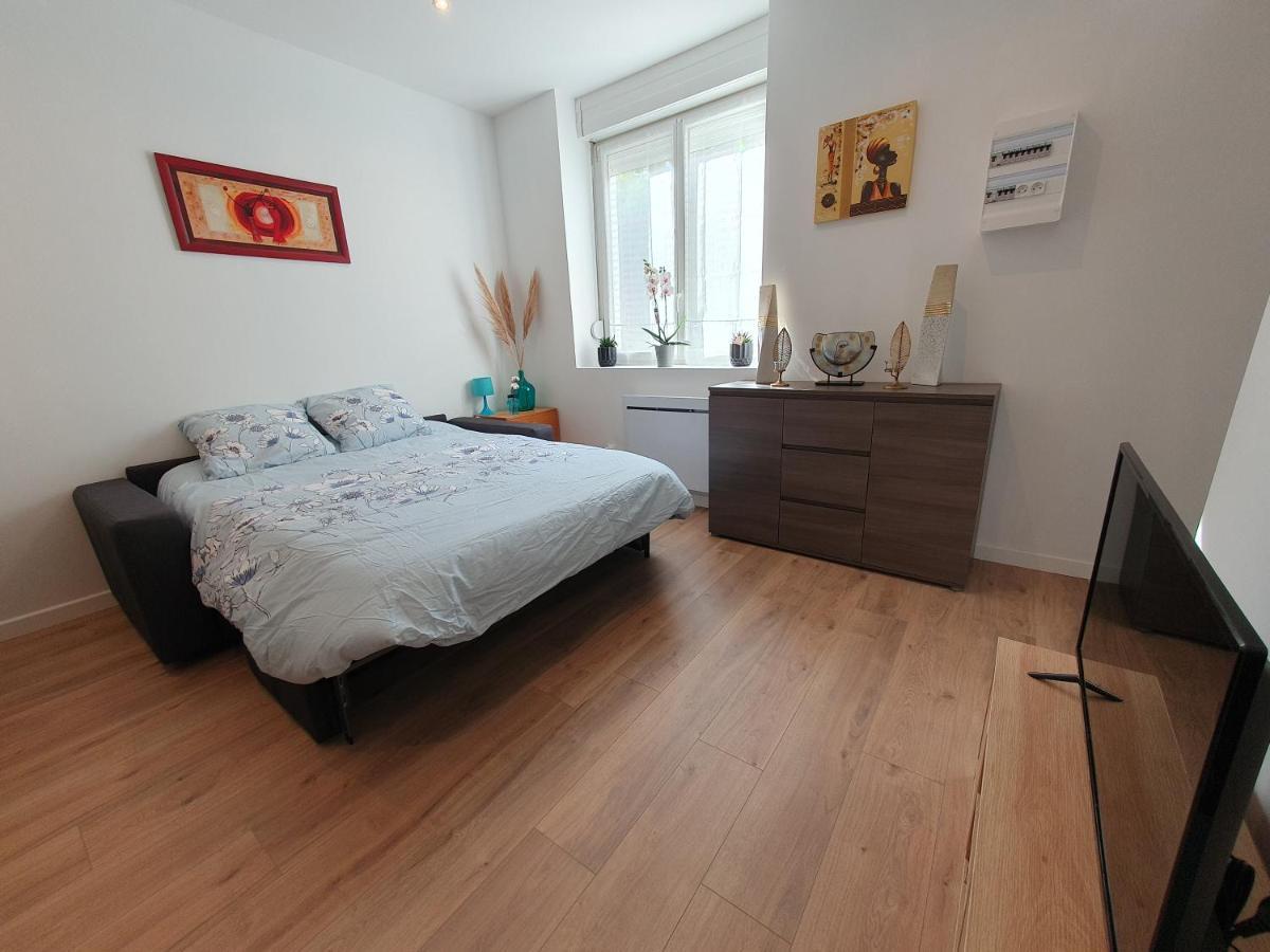 Appartement Savane Нанси Экстерьер фото